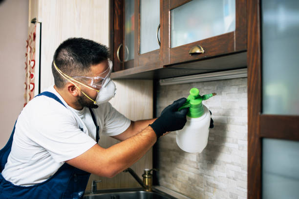 Best Flea Control Services  in Sanger, CA