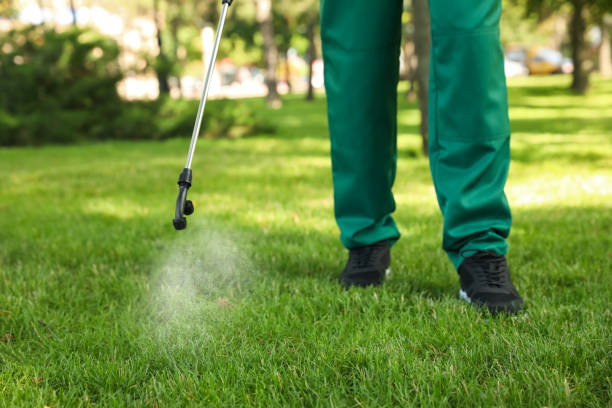 Best Rat Extermination Near Me  in Sanger, CA