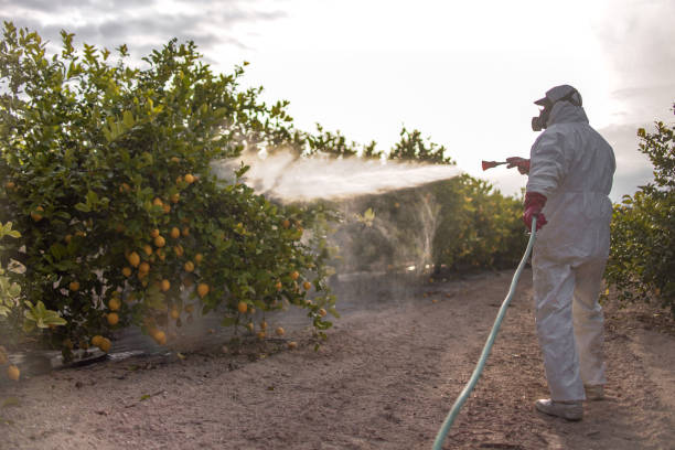Best Affordable Pest Control Services  in Sanger, CA