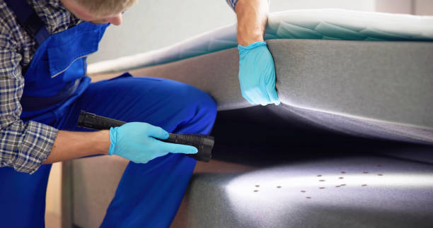 Pest Control for Restaurants in Sanger, CA