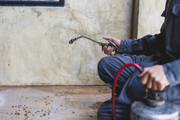 Best Emergency Pest Control  in Sanger, CA